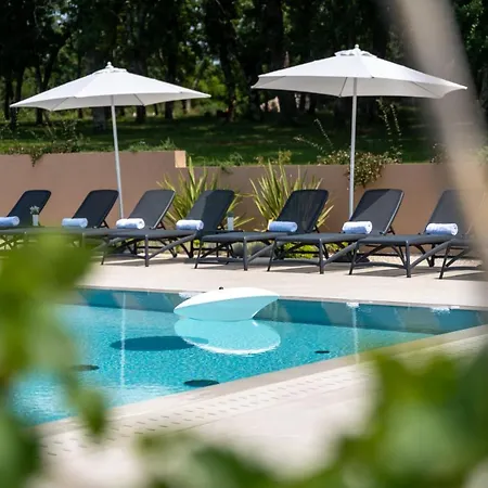 Vitis Istra * Tinjan