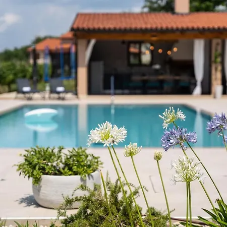 Vitis Istra Apartman *