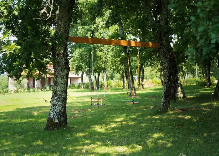 Vitis Istra * Tinjan