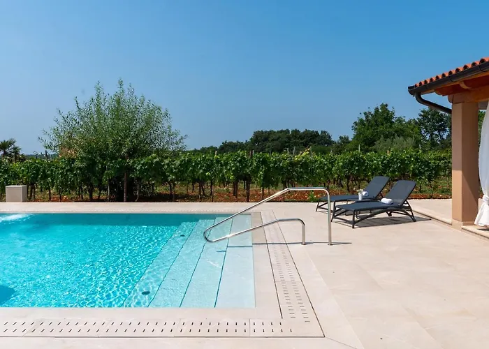 Vitis Istra Διαμέρισμα *