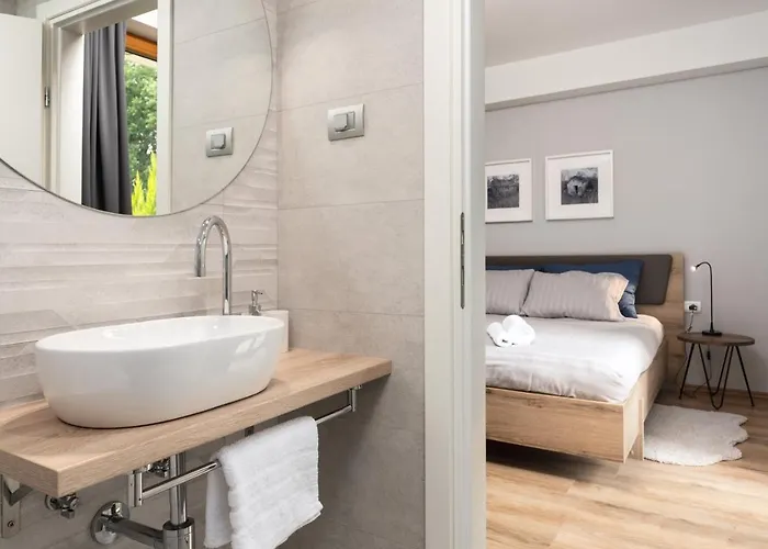 Vitis Istra * Tinjan