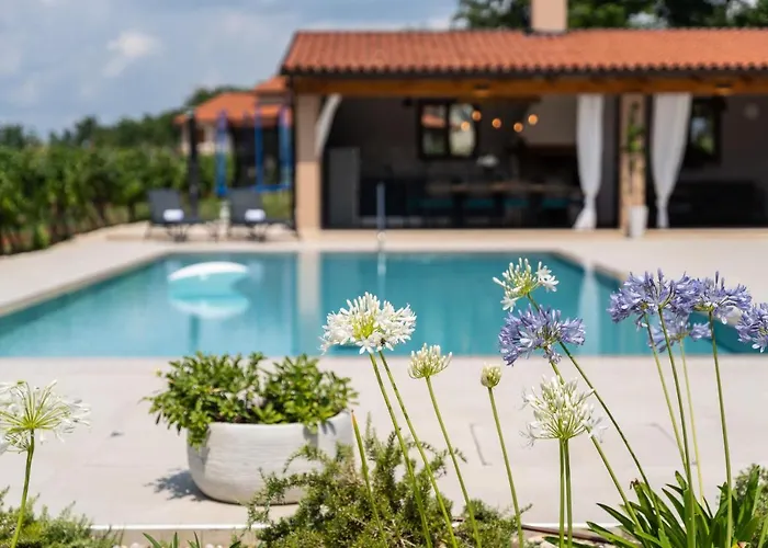 Vitis Istra Διαμέρισμα *