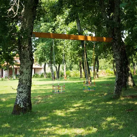 Vitis Istra * Tinjan