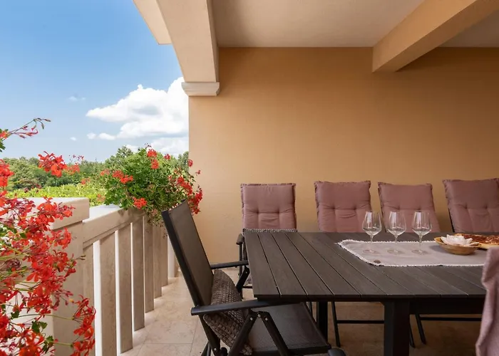 Vitis Istra Apartment Tinjan
